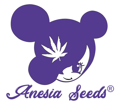картинка Cash Cow от магазина Semki