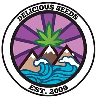 картинка Eleven Roses Auto от магазина Semki