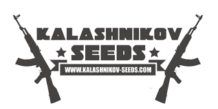 картинка Zkittlez Kalashnikov Auto от магазина Semki