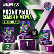 РОЗЫГРЫШ СЕМЯН И МЕРЧА В SEM7X! от магазина Semki