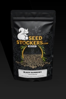 картинка Black Rainbow Auto от магазина Semki
