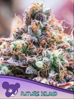 картинка Future Island от магазина Semki